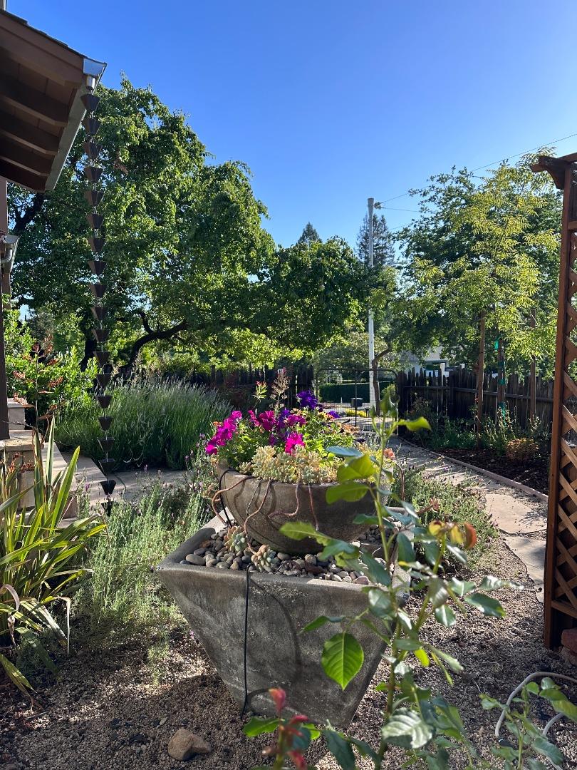 Detail Gallery Image 4 of 39 For 15393 via Caballero, Monte Sereno,  CA 95030 - 5 Beds | 4/1 Baths