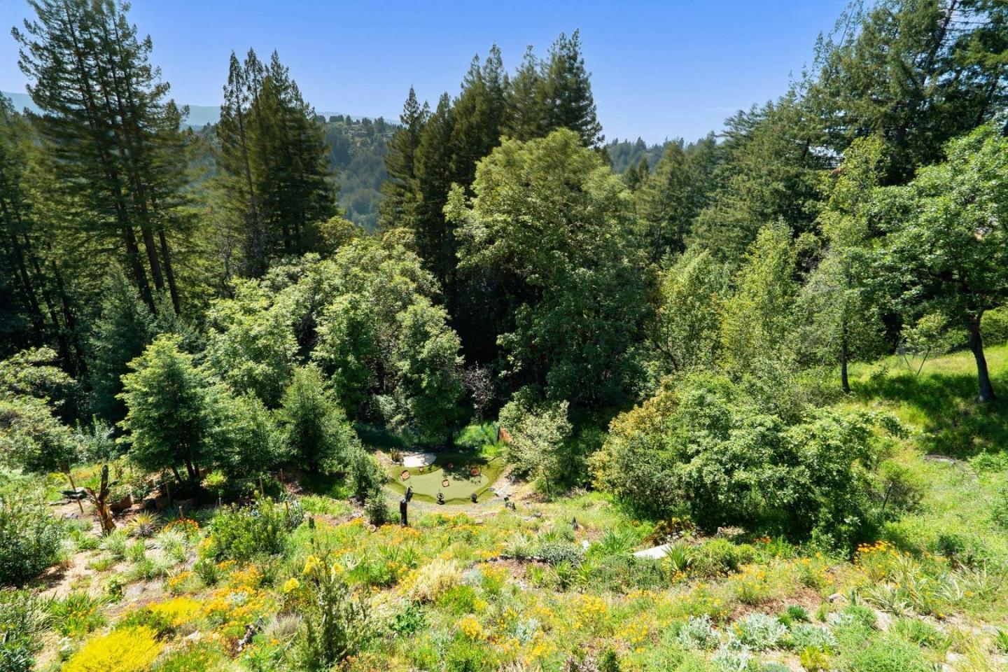 Detail Gallery Image 42 of 67 For 24101 Mountain Charlie Road, Los Gatos,  CA 95033 - 4 Beds | 3/2 Baths