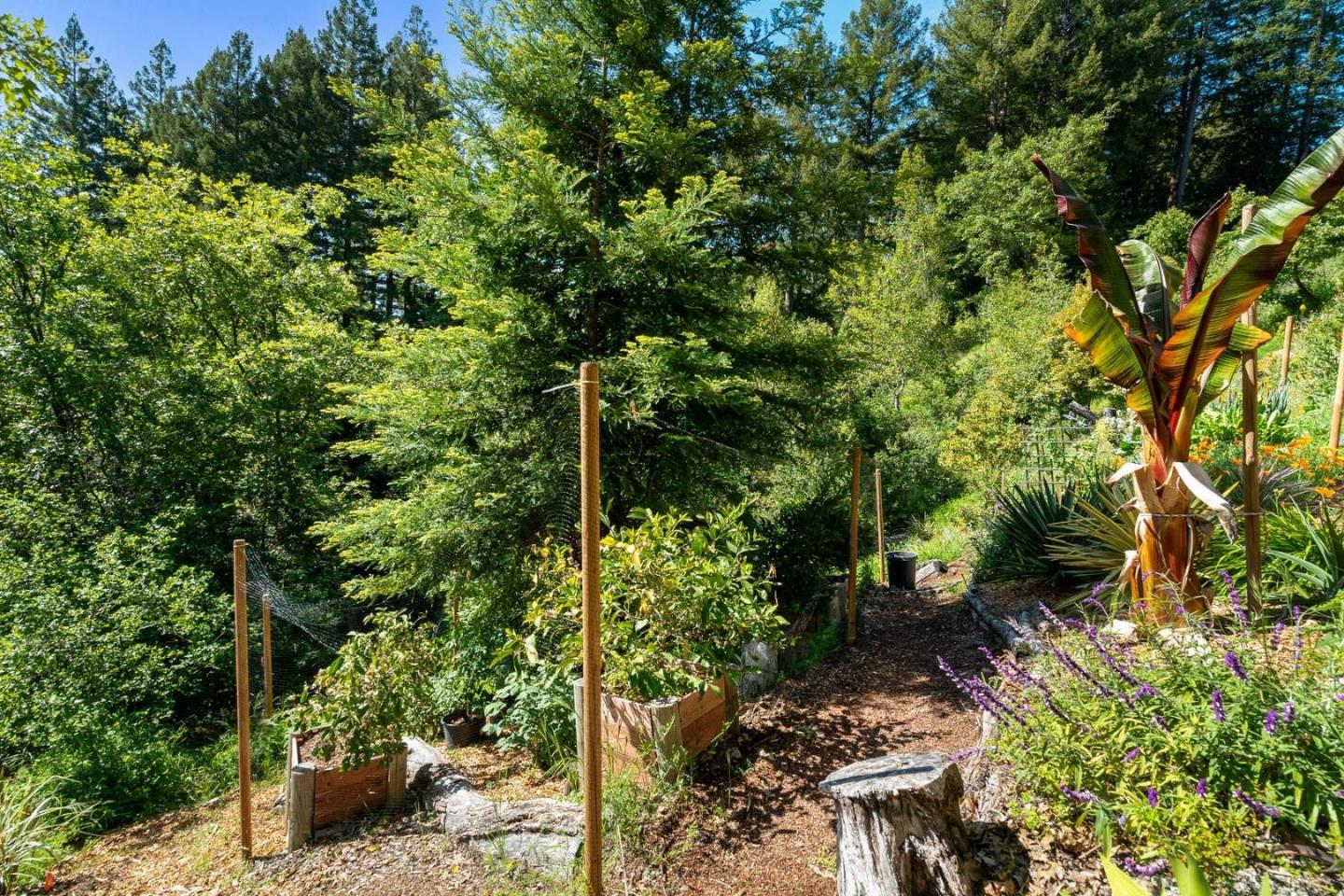 Detail Gallery Image 56 of 67 For 24101 Mountain Charlie Road, Los Gatos,  CA 95033 - 4 Beds | 3/2 Baths