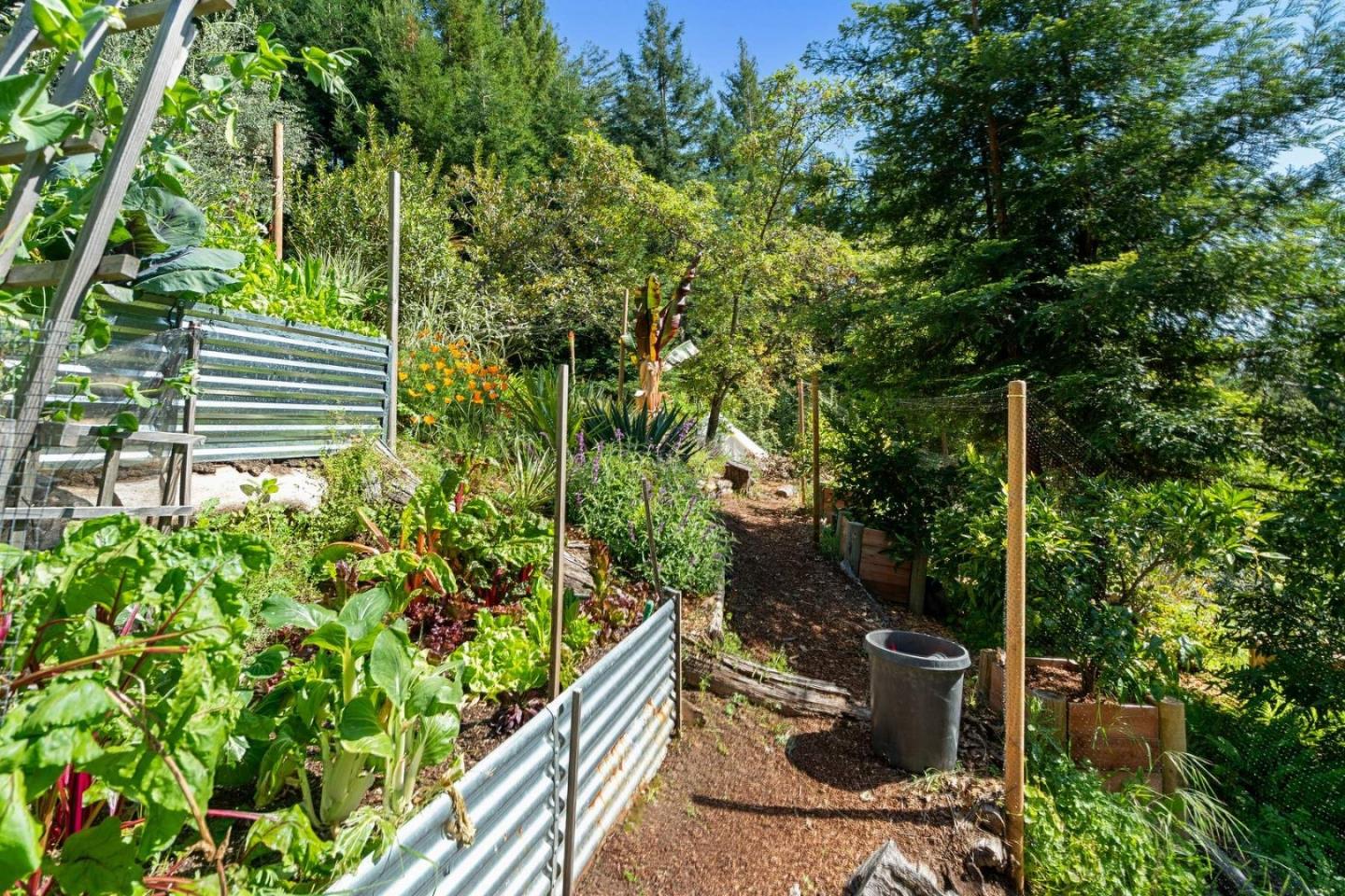 Detail Gallery Image 57 of 67 For 24101 Mountain Charlie Road, Los Gatos,  CA 95033 - 4 Beds | 3/2 Baths