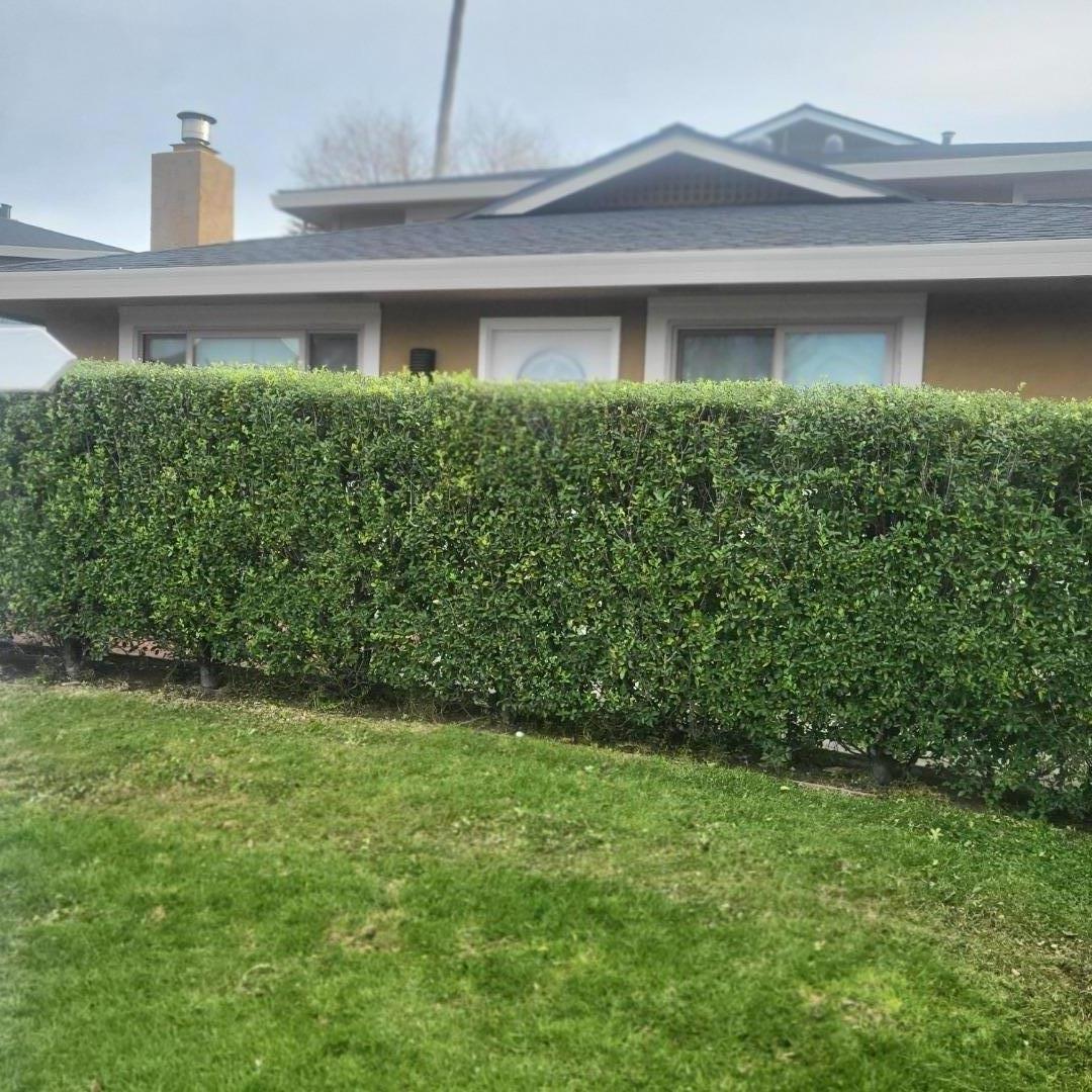 Detail Gallery Image 2 of 8 For 1420 Ruby Ct #1,  Capitola,  CA 95010 - 2 Beds | 1 Baths