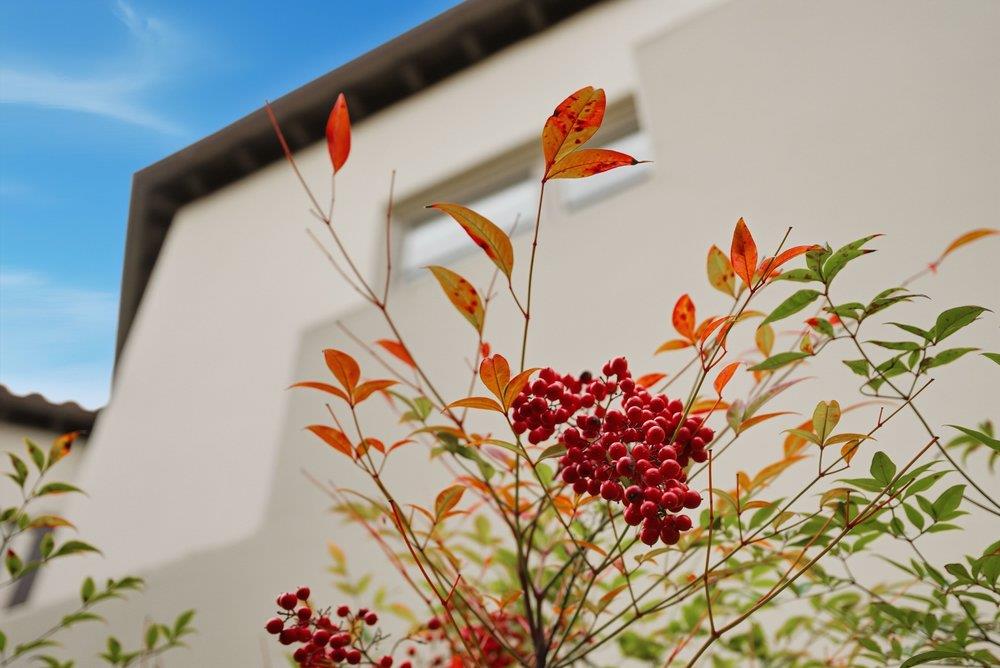 Detail Gallery Image 4 of 29 For 141 W 3rd Ave, San Mateo,  CA 94402 - 1 Beds | 1 Baths