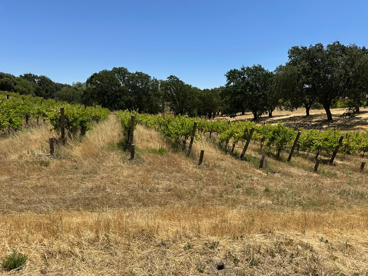 Livermore