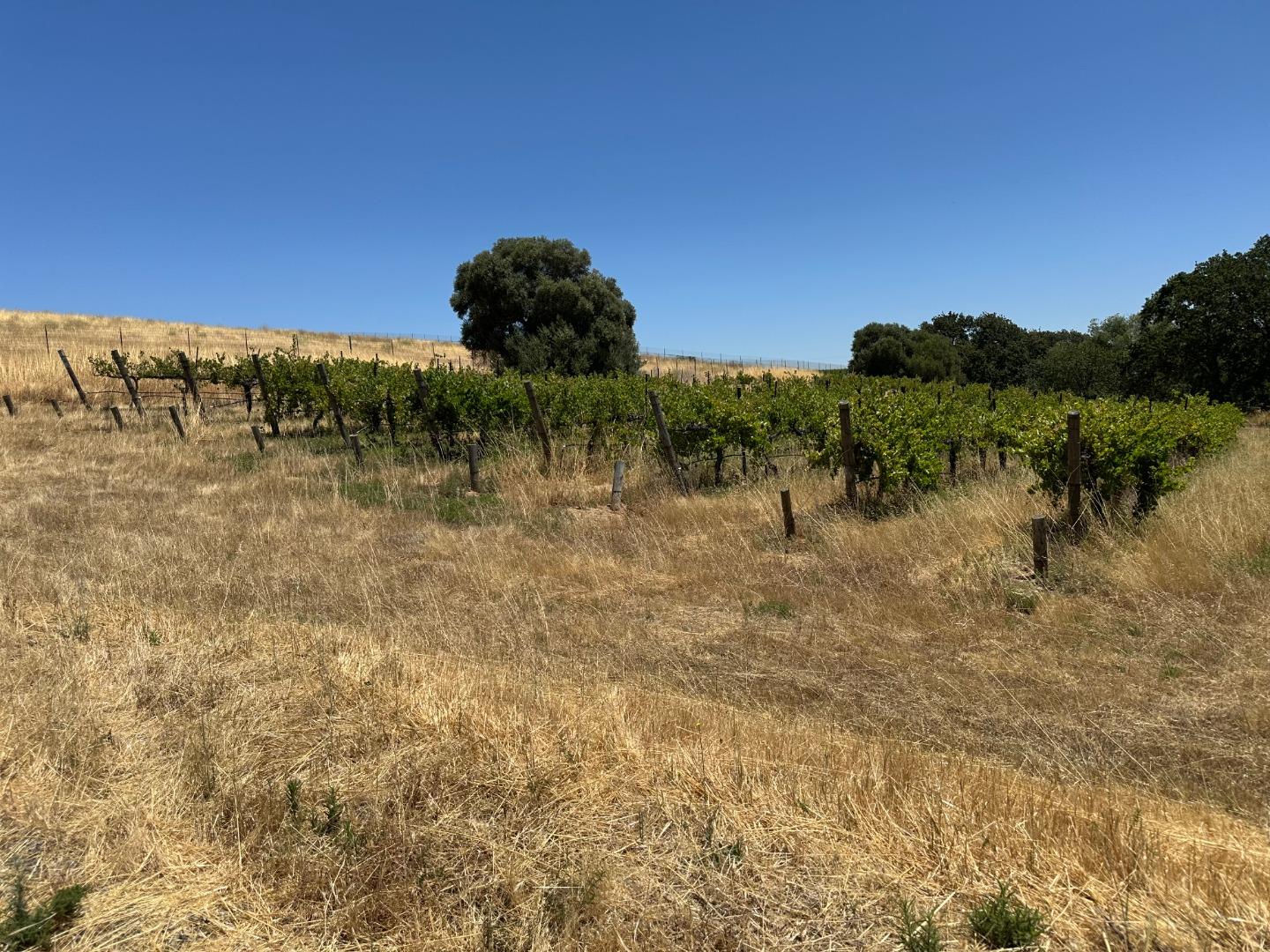 342 Kalthoff Common, Livermore, CA, 94550