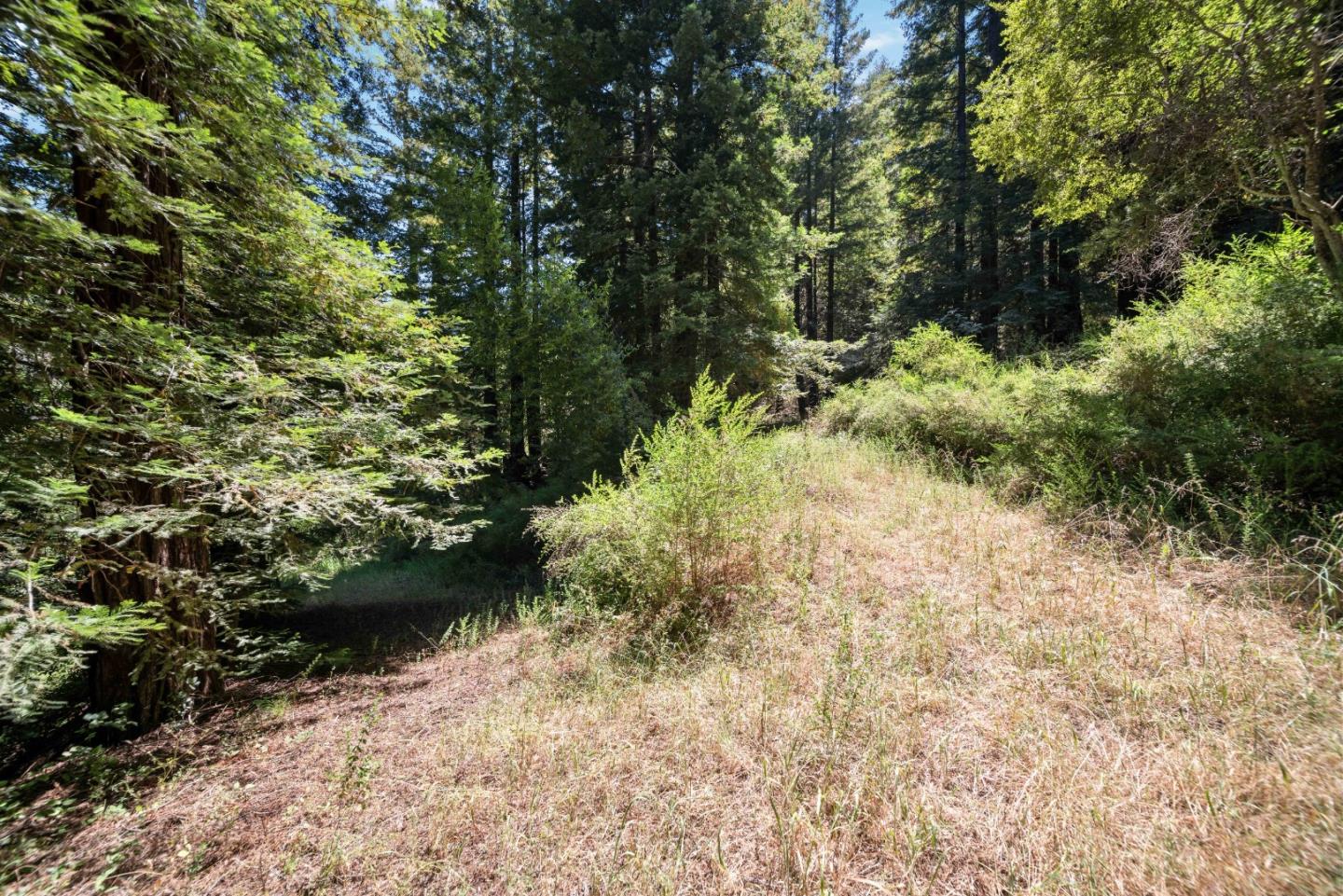 Detail Gallery Image 42 of 51 For 2305 Bear Canyon Rd, Los Gatos,  CA 95033 - 3 Beds | 2 Baths