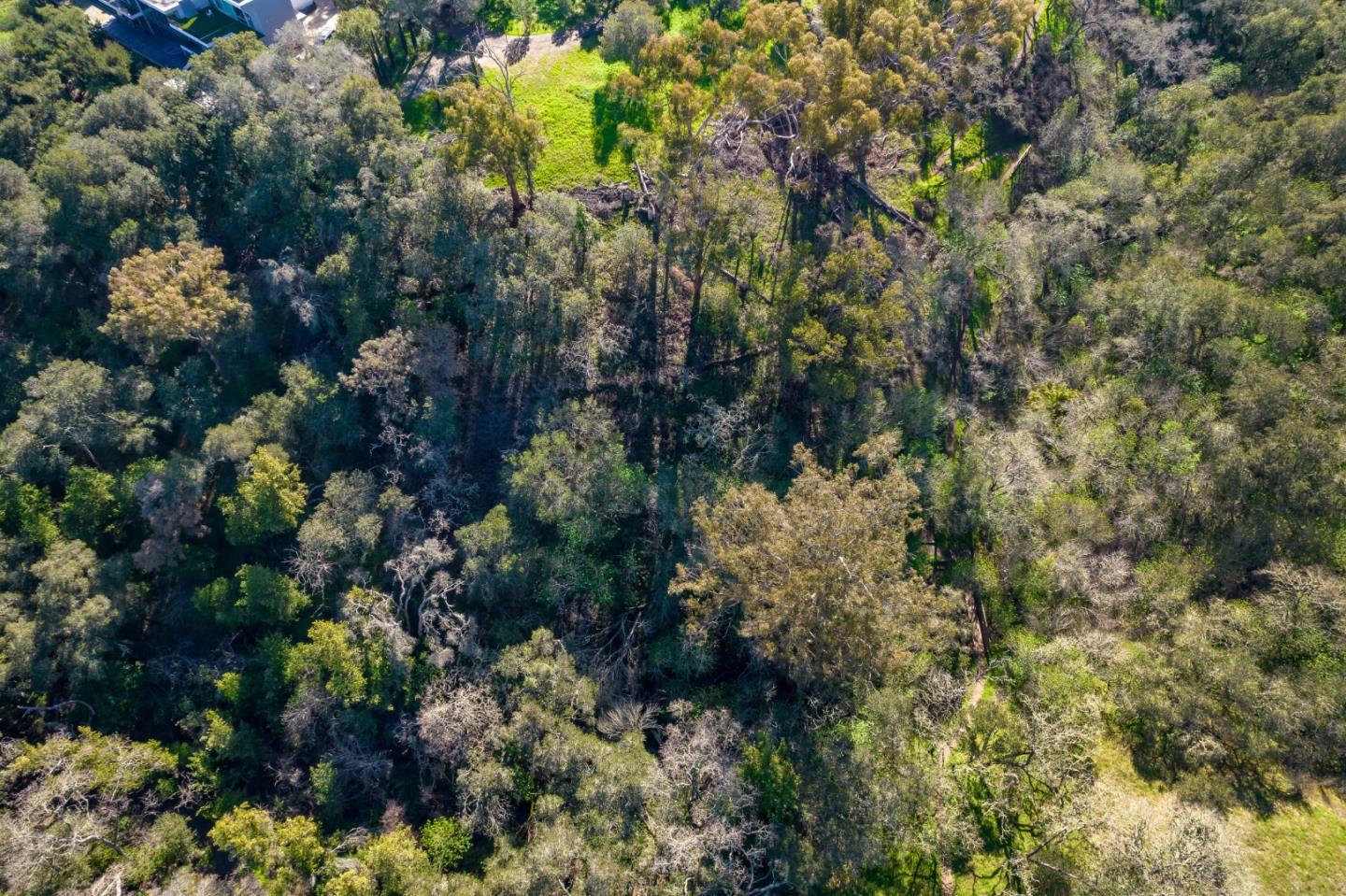 Detail Gallery Image 7 of 7 For 0 Taaffe Rd, Los Altos Hills,  CA 94022 - – Beds | – Baths