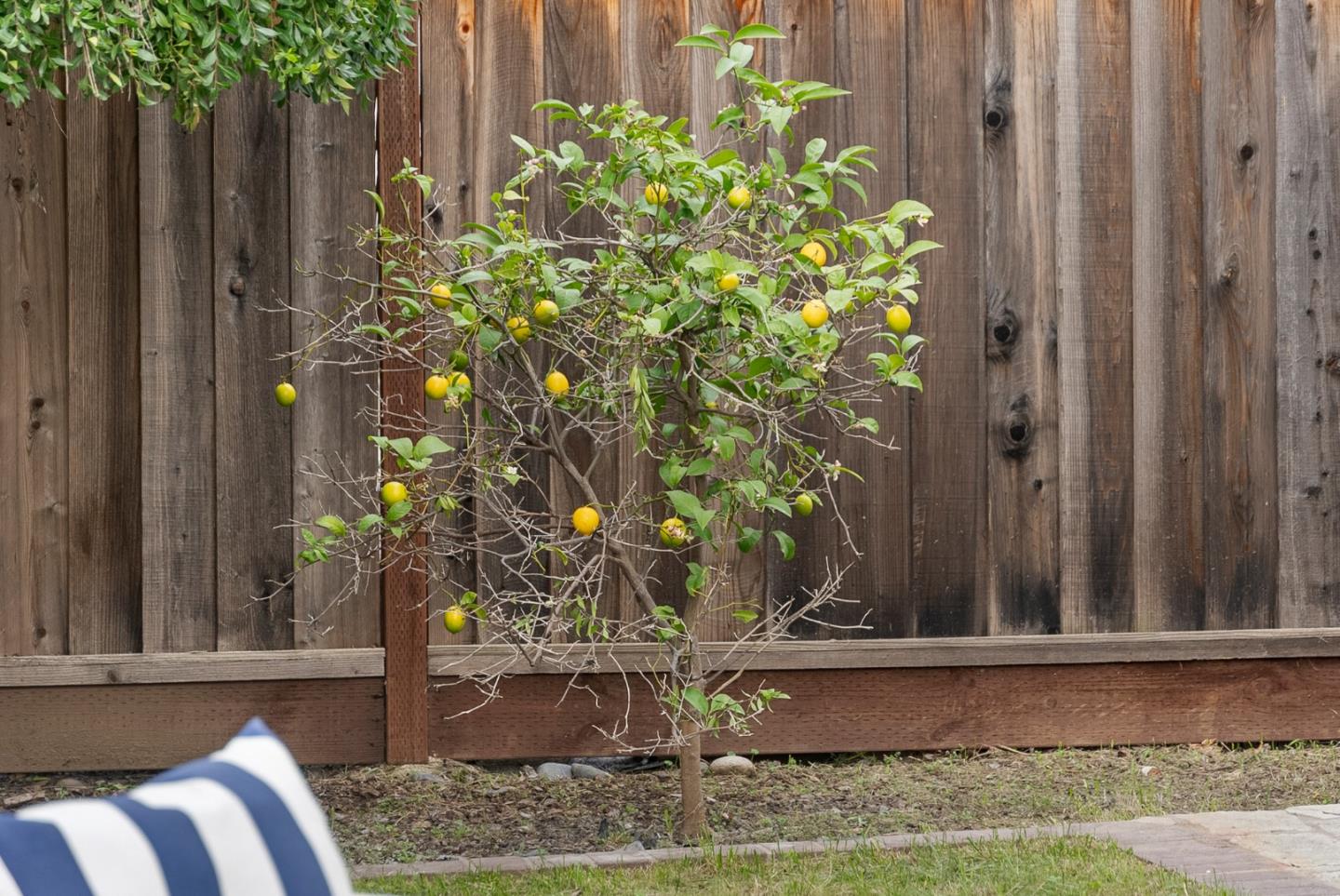 Detail Gallery Image 24 of 28 For 357 Sunnyslope Dr, Fremont,  CA 94536 - 3 Beds | 2/1 Baths