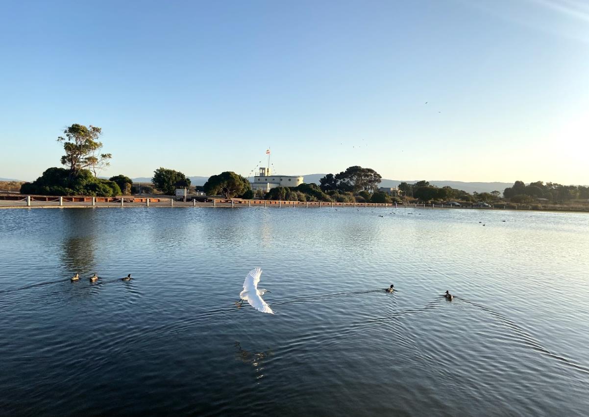 Detail Gallery Image 63 of 85 For 225 W Meadow Dr, Palo Alto,  CA 94306 - 3 Beds | 2 Baths