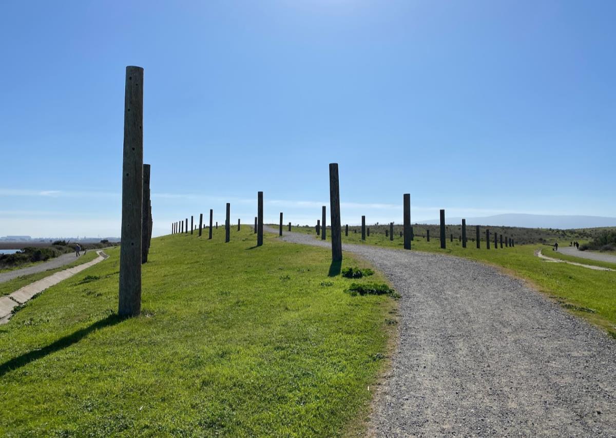 Detail Gallery Image 65 of 85 For 225 W Meadow Dr, Palo Alto,  CA 94306 - 3 Beds | 2 Baths