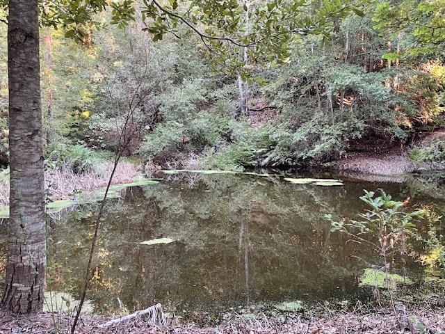 Front Image Thumbnail for ML82032421