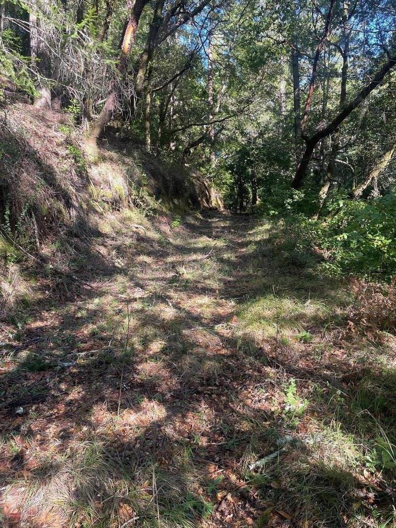 Detail Gallery Image 10 of 17 For 00 Love Creek, Ben Lomond,  CA 95005 - – Beds | – Baths