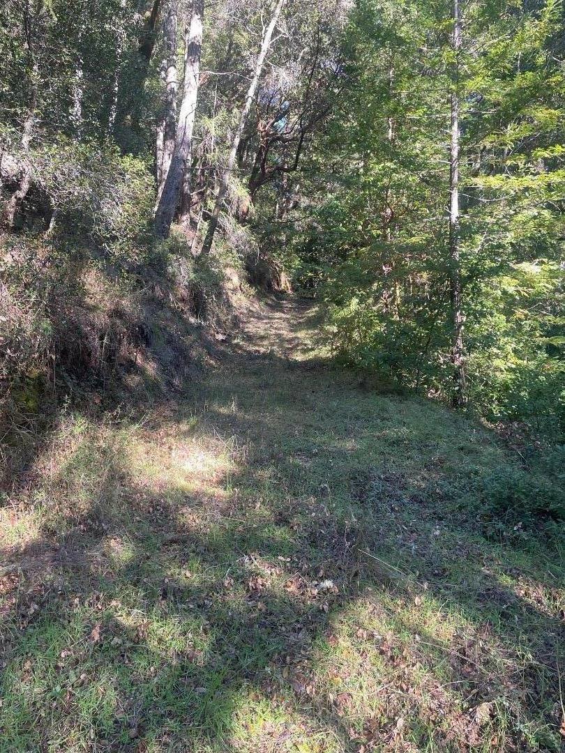 Detail Gallery Image 11 of 17 For 00 Love Creek, Ben Lomond,  CA 95005 - – Beds | – Baths