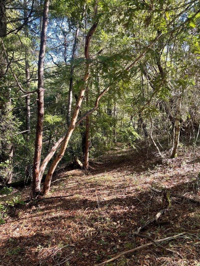 Detail Gallery Image 12 of 17 For 00 Love Creek, Ben Lomond,  CA 95005 - – Beds | – Baths