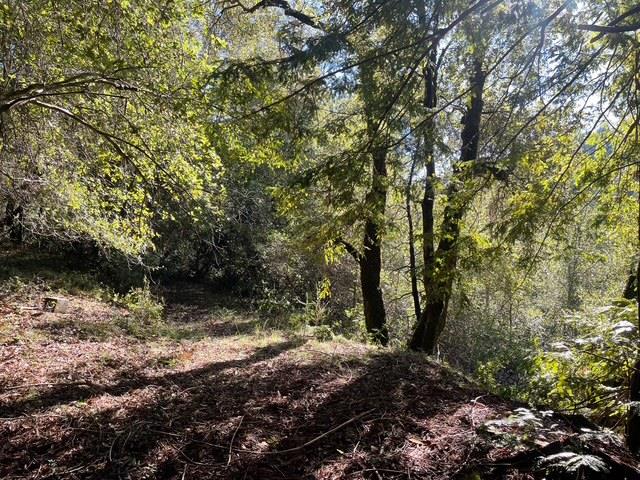 Detail Gallery Image 13 of 17 For 00 Love Creek, Ben Lomond,  CA 95005 - – Beds | – Baths