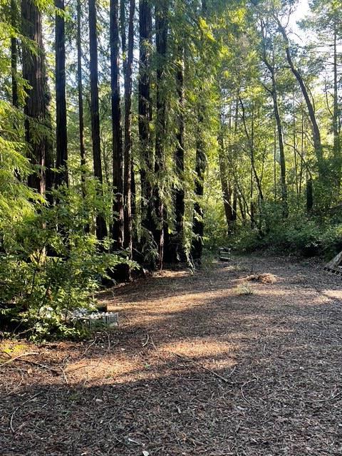 Detail Gallery Image 14 of 17 For 00 Love Creek, Ben Lomond,  CA 95005 - – Beds | – Baths