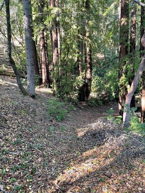 Detail Gallery Image 15 of 17 For 00 Love Creek, Ben Lomond,  CA 95005 - – Beds | – Baths