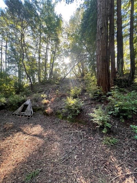 Detail Gallery Image 17 of 17 For 00 Love Creek, Ben Lomond,  CA 95005 - – Beds | – Baths