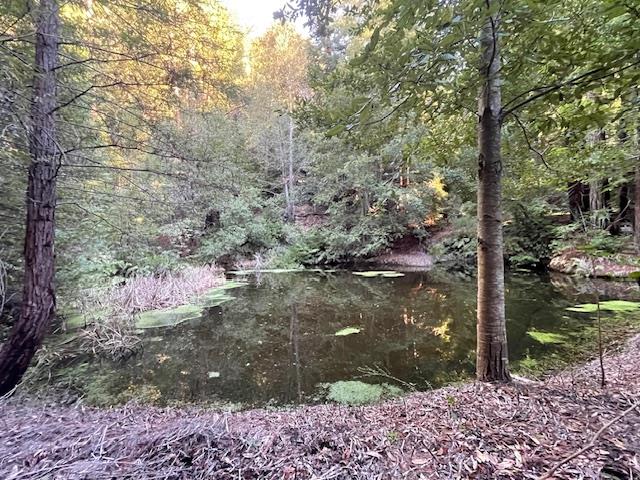 Detail Gallery Image 2 of 17 For 00 Love Creek, Ben Lomond,  CA 95005 - – Beds | – Baths