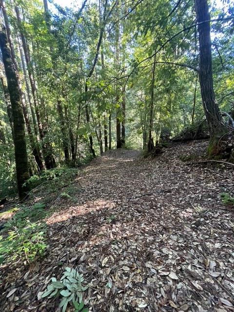 Detail Gallery Image 3 of 17 For 00 Love Creek, Ben Lomond,  CA 95005 - – Beds | – Baths