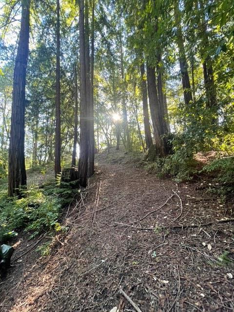 Detail Gallery Image 4 of 17 For 00 Love Creek, Ben Lomond,  CA 95005 - – Beds | – Baths