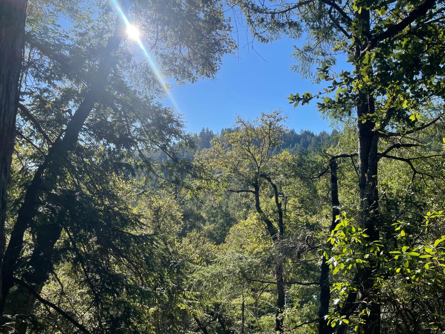 Detail Gallery Image 5 of 17 For 00 Love Creek, Ben Lomond,  CA 95005 - – Beds | – Baths