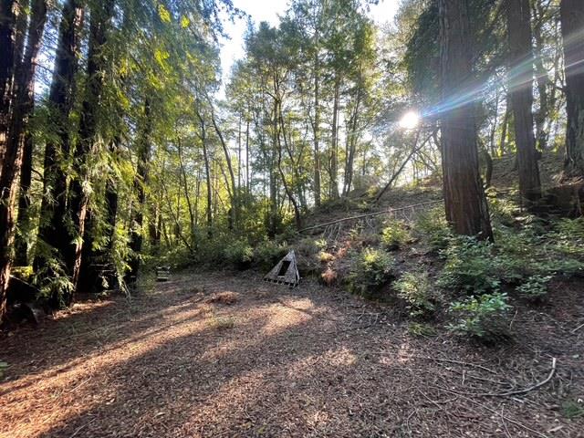 Detail Gallery Image 6 of 17 For 00 Love Creek, Ben Lomond,  CA 95005 - – Beds | – Baths