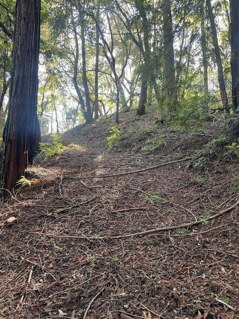 Detail Gallery Image 8 of 17 For 00 Love Creek, Ben Lomond,  CA 95005 - – Beds | – Baths