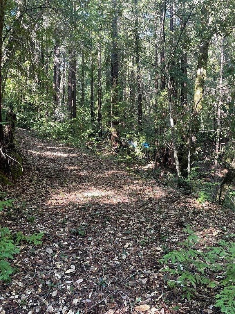 Detail Gallery Image 9 of 17 For 00 Love Creek, Ben Lomond,  CA 95005 - – Beds | – Baths