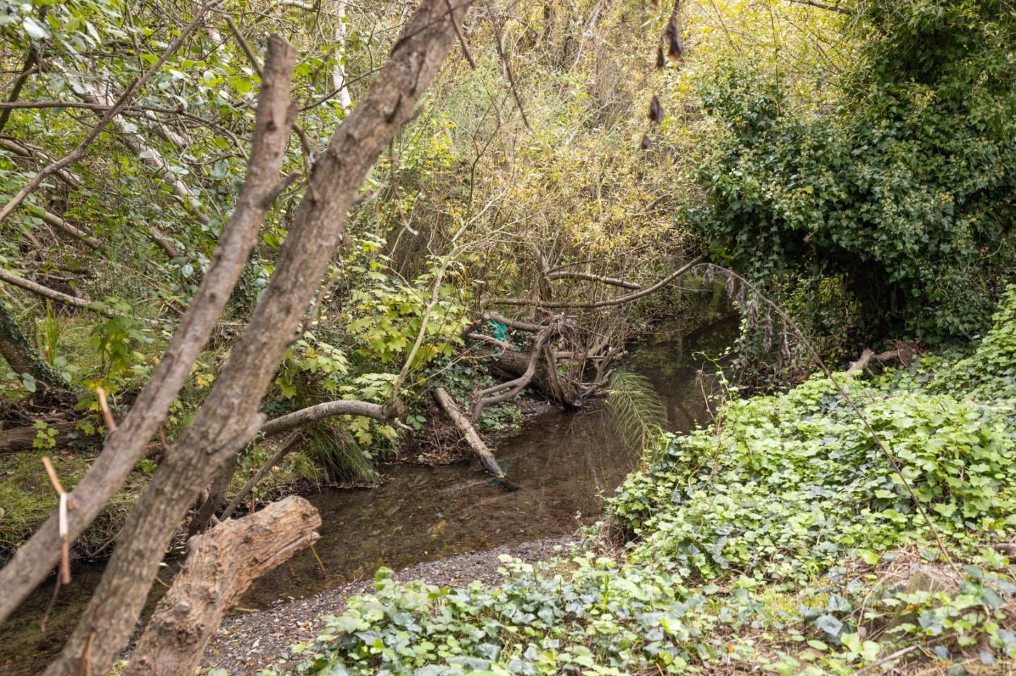 Detail Gallery Image 29 of 41 For 1416 Flores Dr, Pacifica,  CA 94044 - 4 Beds | 3 Baths