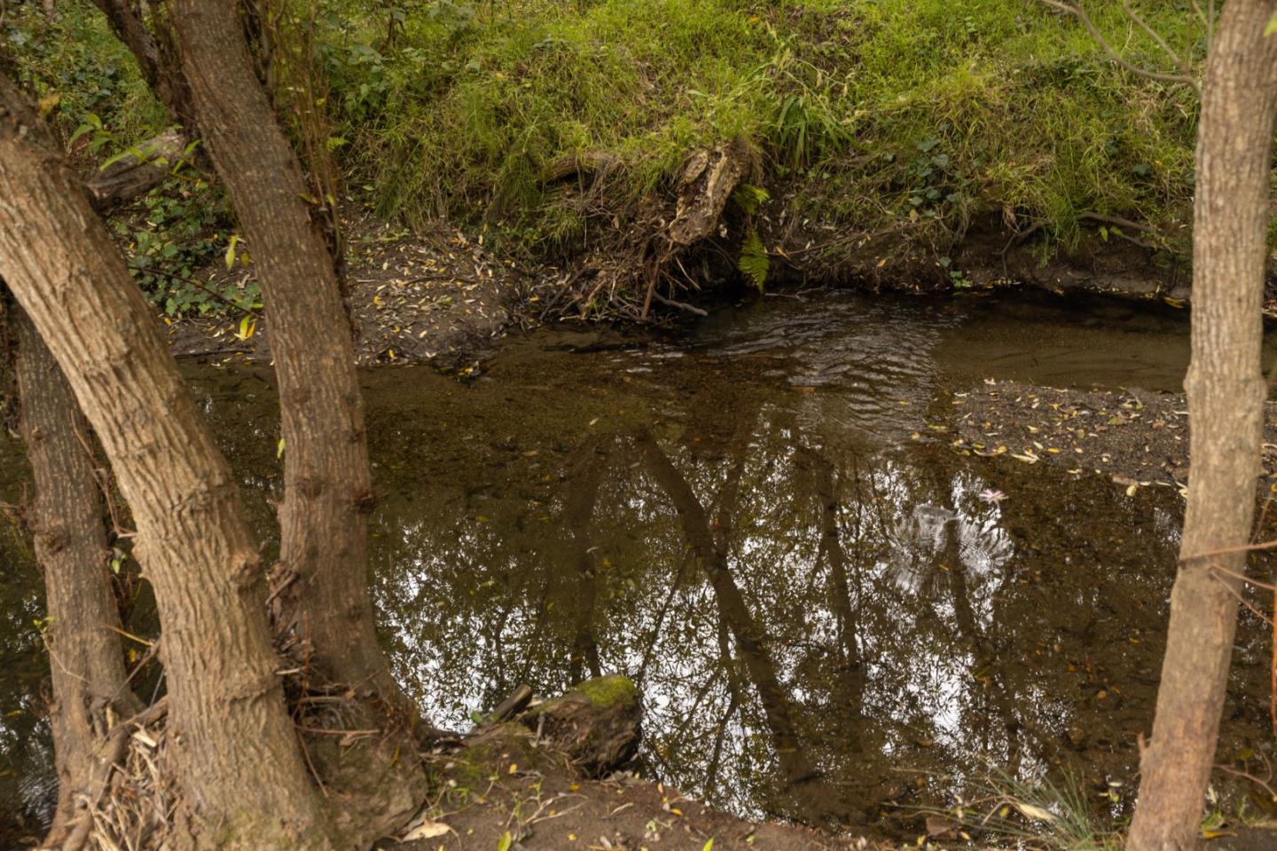 Detail Gallery Image 30 of 41 For 1416 Flores Dr, Pacifica,  CA 94044 - 4 Beds | 3 Baths