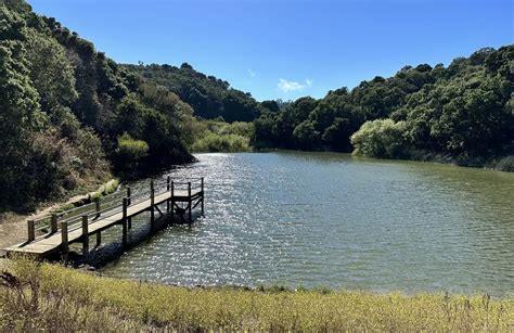 Detail Gallery Image 12 of 18 For 1720 Francis Ct, Belmont,  CA 94002 - 3 Beds | 2 Baths