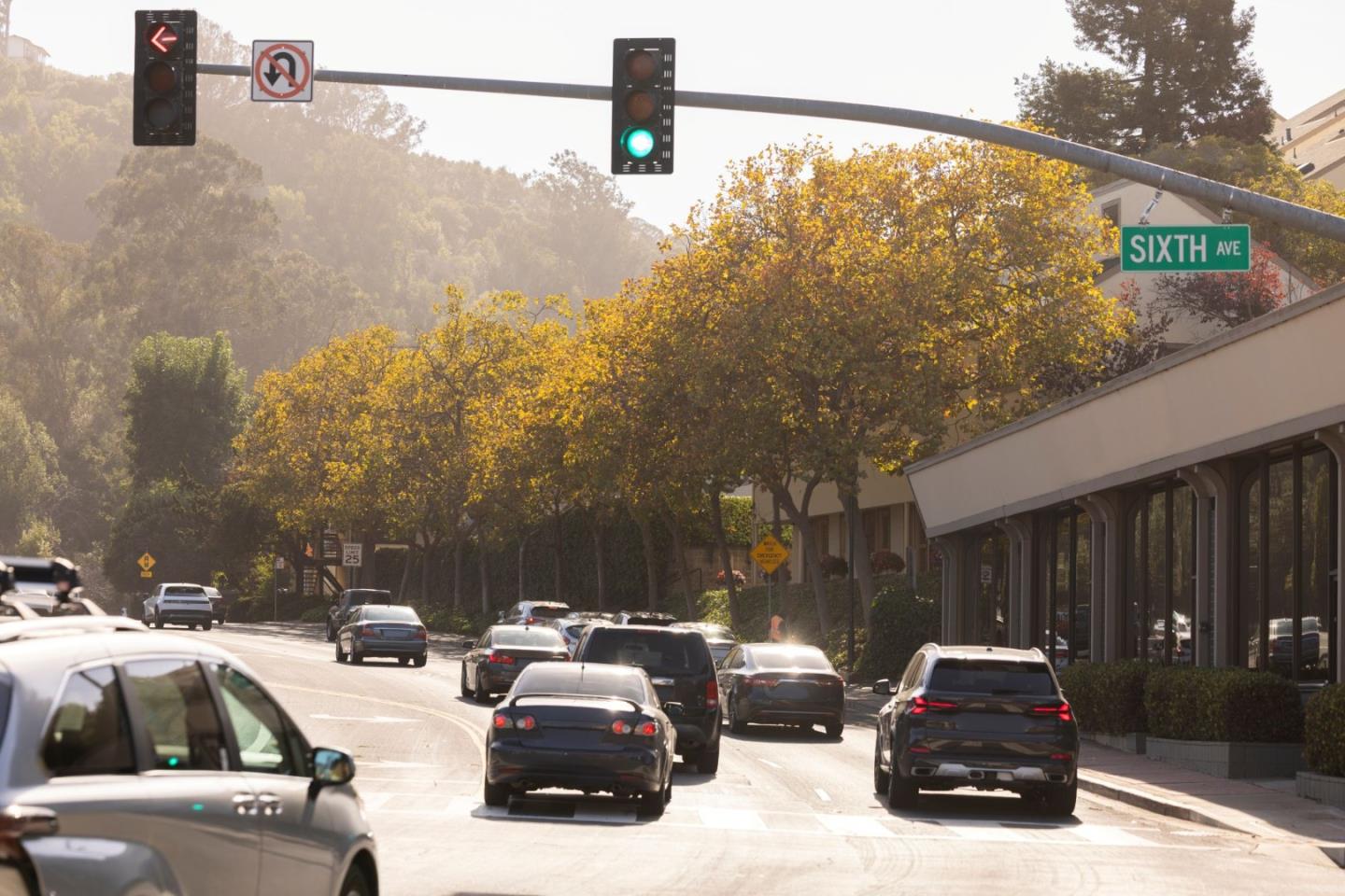 Detail Gallery Image 18 of 18 For 1720 Francis Ct, Belmont,  CA 94002 - 3 Beds | 2 Baths
