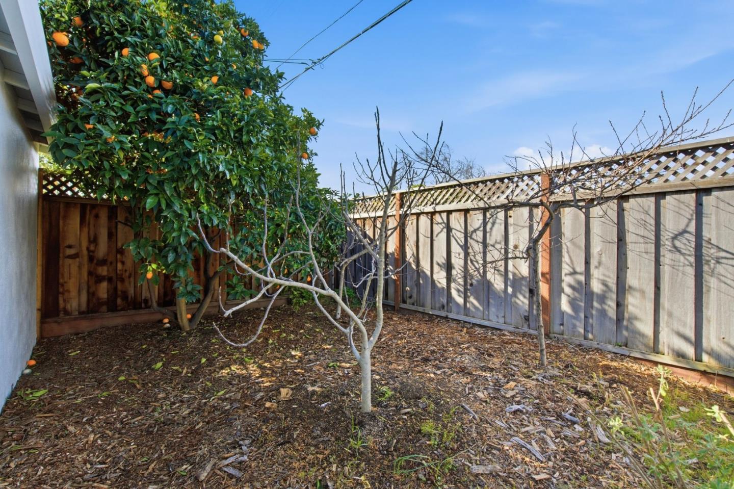 Detail Gallery Image 36 of 72 For 946 Los Padres Blvd, Santa Clara,  CA 95050 - 3 Beds | 1/1 Baths