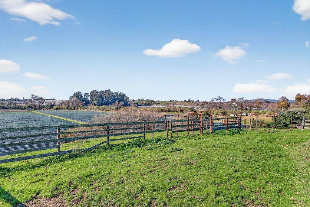 Detail Gallery Image 11 of 25 For 195 Bjur Dr, Watsonville,  CA 95076 - 2 Beds | 1 Baths