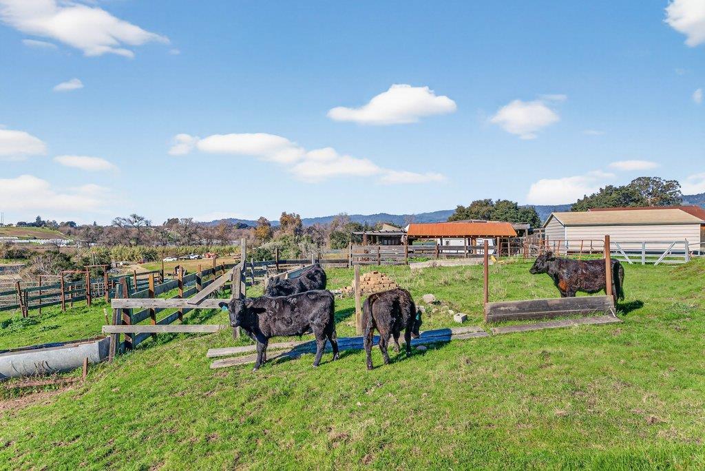 Detail Gallery Image 12 of 25 For 195 Bjur Dr, Watsonville,  CA 95076 - 2 Beds | 1 Baths