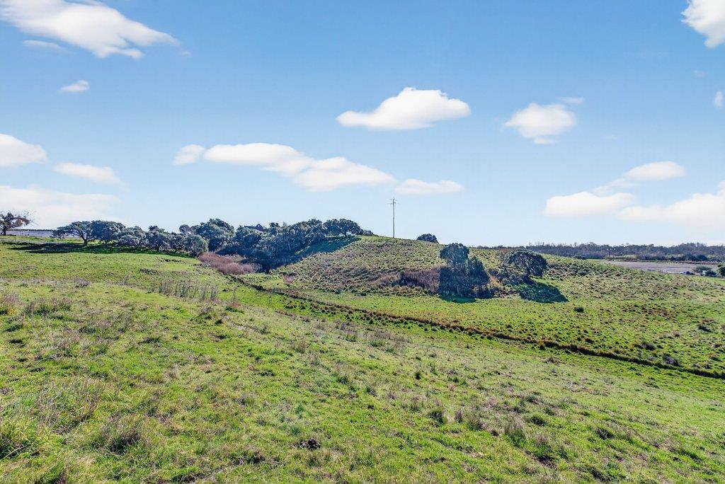 Detail Gallery Image 13 of 25 For 195 Bjur Dr, Watsonville,  CA 95076 - 2 Beds | 1 Baths