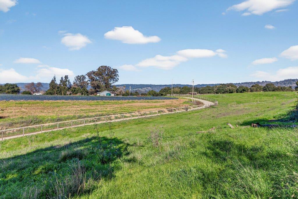 Detail Gallery Image 19 of 25 For 195 Bjur Dr, Watsonville,  CA 95076 - 2 Beds | 1 Baths