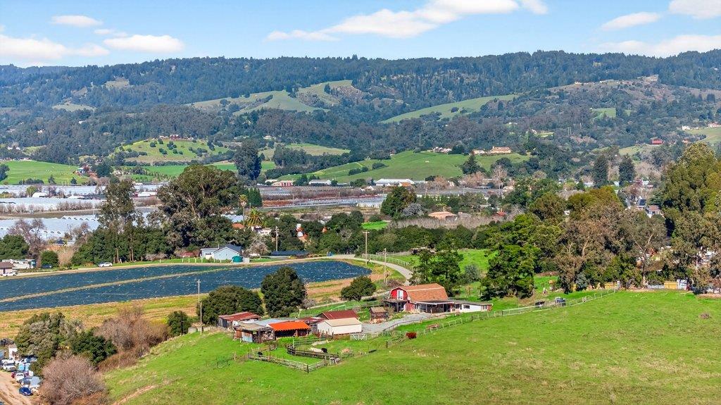 Detail Gallery Image 3 of 25 For 195 Bjur Dr, Watsonville,  CA 95076 - 2 Beds | 1 Baths