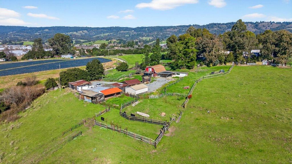 Detail Gallery Image 6 of 25 For 195 Bjur Dr, Watsonville,  CA 95076 - 2 Beds | 1 Baths