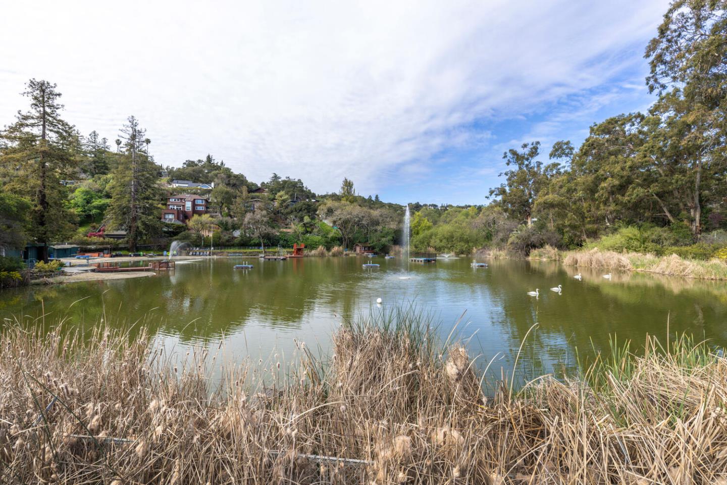 Detail Gallery Image 41 of 41 For 3803 Hamilton Way, Redwood City,  CA 94062 - 4 Beds | 2 Baths