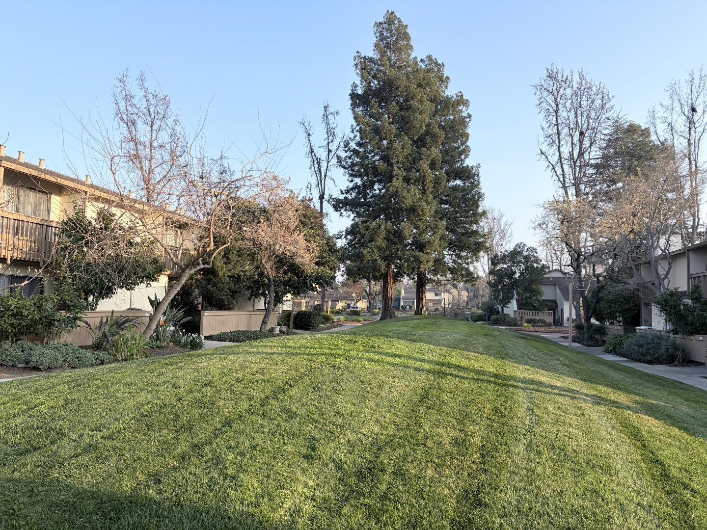 Detail Gallery Image 31 of 33 For 1975 Olmo Way, Walnut Creek,  CA 94598 - 2 Beds | 2/1 Baths