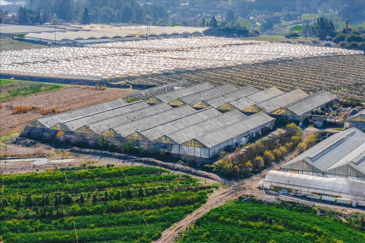 Detail Gallery Image 14 of 66 For 371 Calabasas Rd, Watsonville,  CA 95076 - 5 Beds | 2/1 Baths