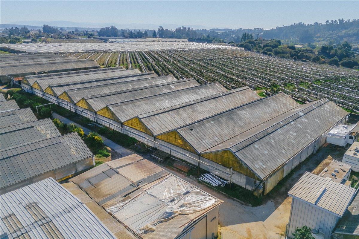 Detail Gallery Image 18 of 66 For 371 Calabasas Rd, Watsonville,  CA 95076 - 5 Beds | 2/1 Baths