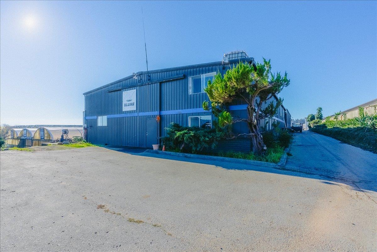 Detail Gallery Image 25 of 66 For 371 Calabasas Rd, Watsonville,  CA 95076 - 5 Beds | 2/1 Baths