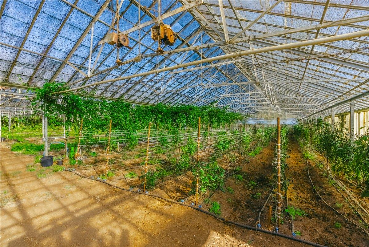 Detail Gallery Image 34 of 66 For 371 Calabasas Rd, Watsonville,  CA 95076 - 5 Beds | 2/1 Baths