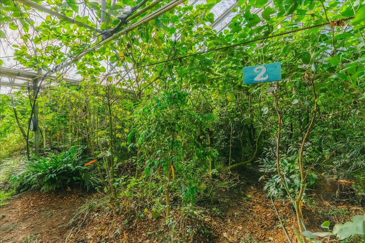 Detail Gallery Image 39 of 66 For 371 Calabasas Rd, Watsonville,  CA 95076 - 5 Beds | 2/1 Baths