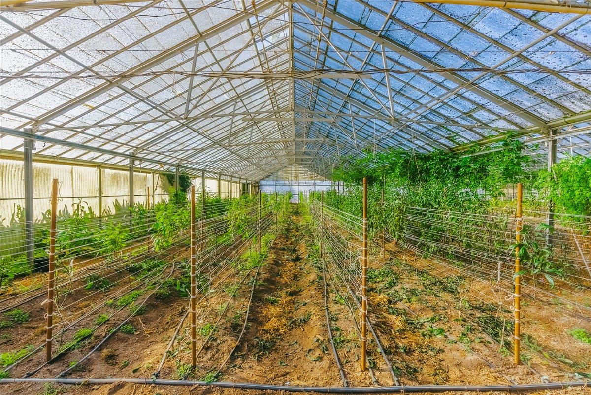 Detail Gallery Image 40 of 66 For 371 Calabasas Rd, Watsonville,  CA 95076 - 5 Beds | 2/1 Baths