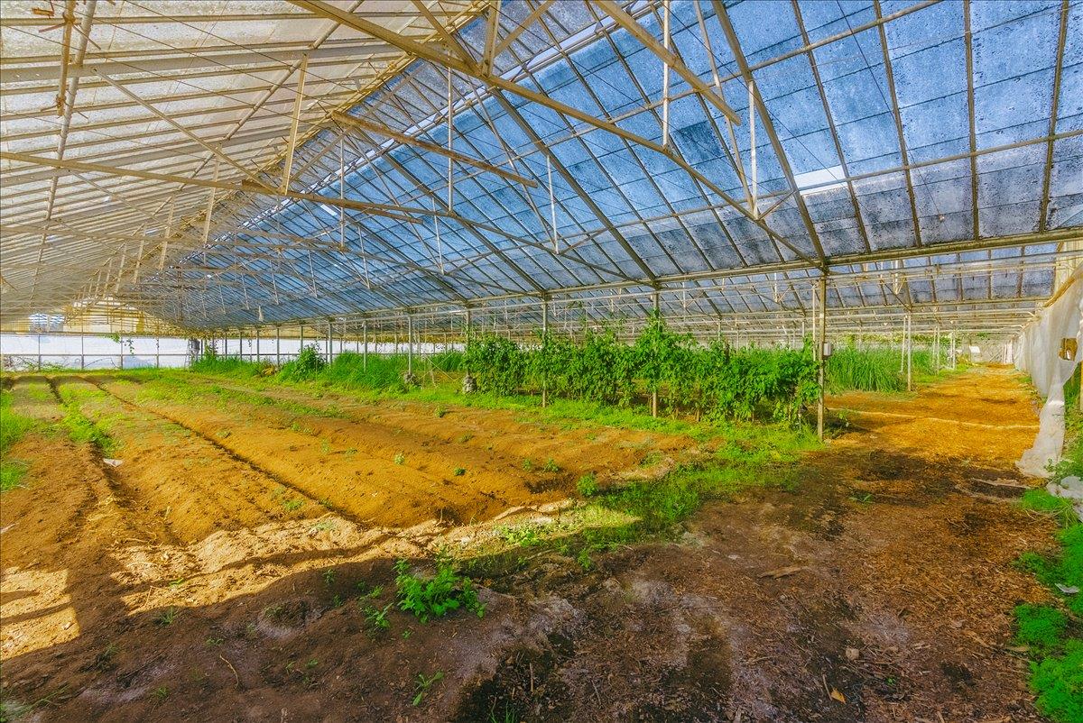 Detail Gallery Image 42 of 66 For 371 Calabasas Rd, Watsonville,  CA 95076 - 5 Beds | 2/1 Baths