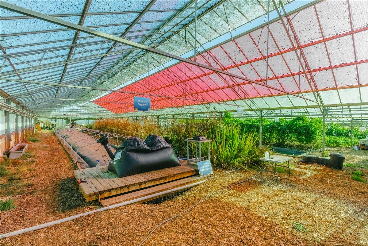 Detail Gallery Image 44 of 66 For 371 Calabasas Rd, Watsonville,  CA 95076 - 5 Beds | 2/1 Baths