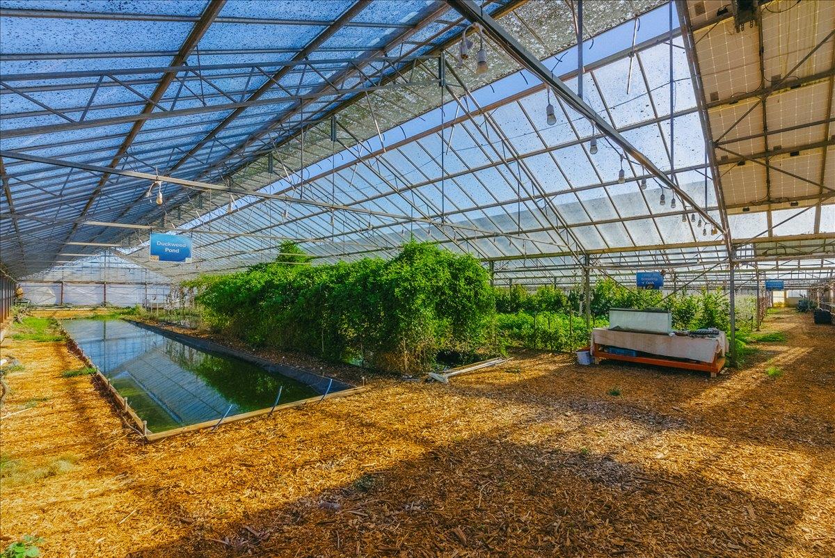 Detail Gallery Image 45 of 66 For 371 Calabasas Rd, Watsonville,  CA 95076 - 5 Beds | 2/1 Baths